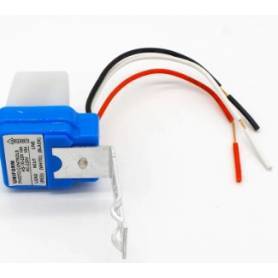 Interruptor de luz de calle AS-10 12V