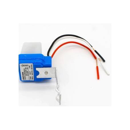 Interruptor de luz de calle AS-10 12V