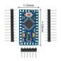 Arduino Pro Mini 5V Arduino Pro Mini 5V